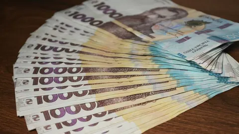 Пільгові кредити для аграріїв Волині: як скористатися програмою