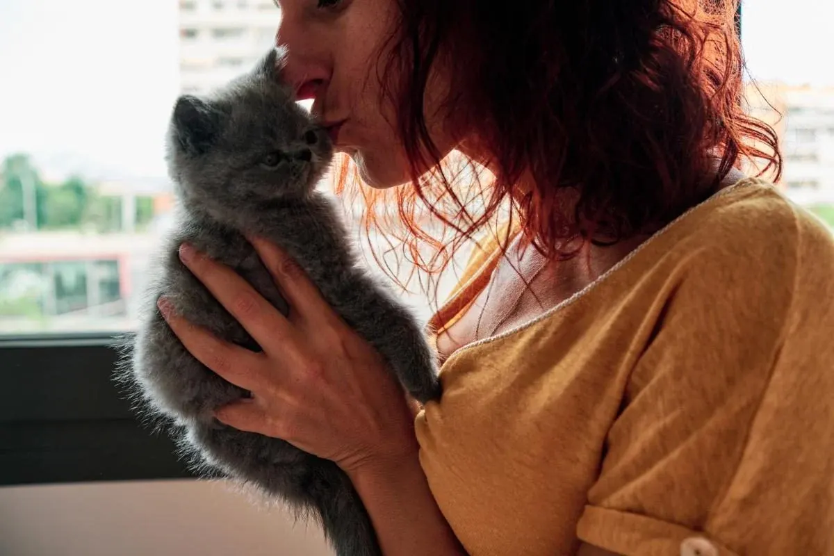 Коти люблять вас більше, ніж ви думаєте: що каже наука