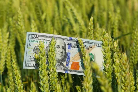 Шість аграрних господарств Львівщини отримають 1,3 млн грн підтримки
