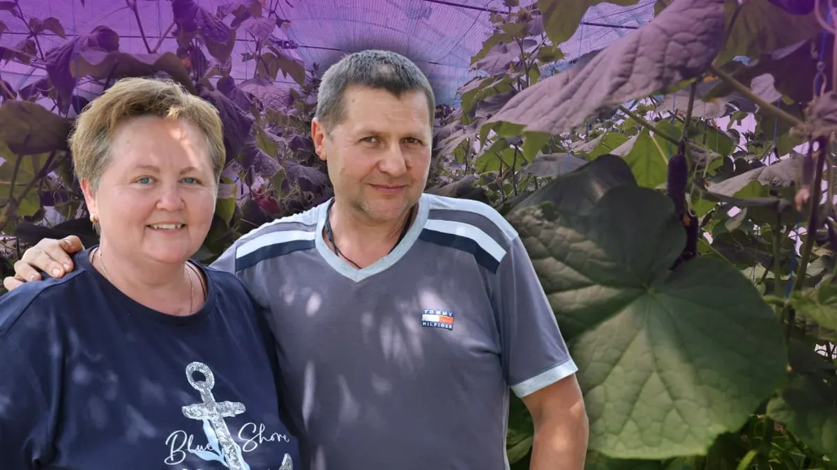 Замість школи — теплиця: як родина вчителів відроджує рідне село