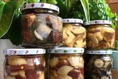 Білі гриби на зиму: карпатський рецепт маринування