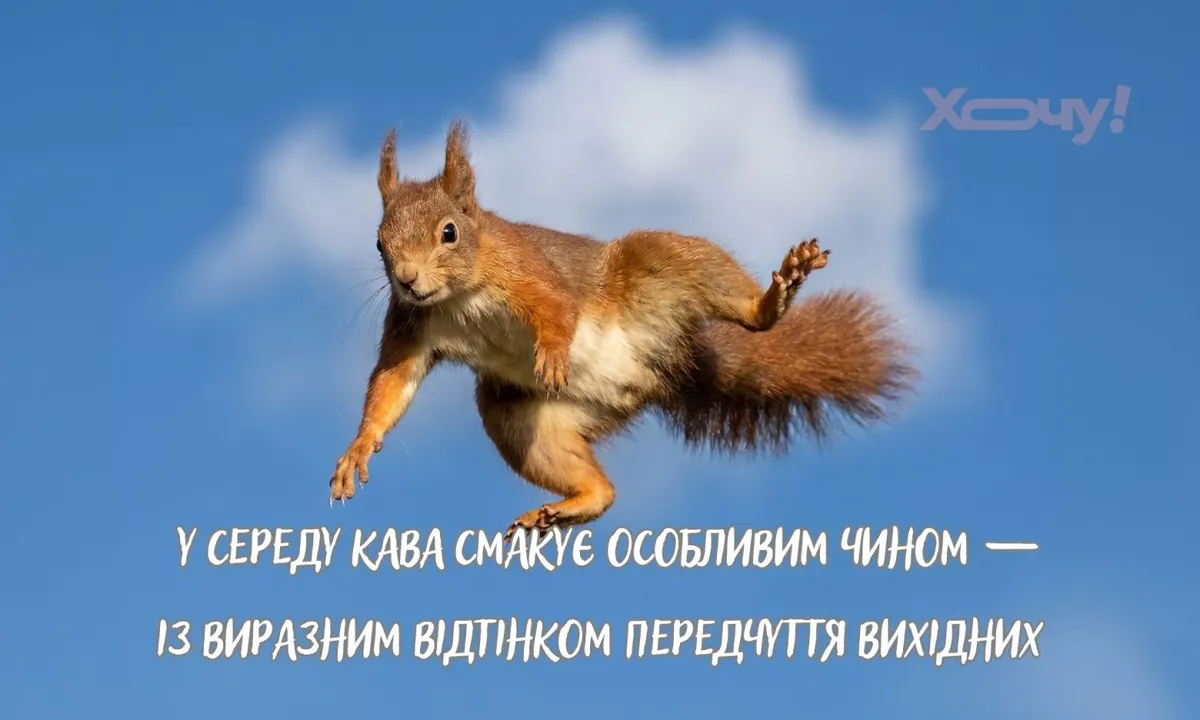 Середа — маленька п'ятниця: як пережити екватор тижня з гумором