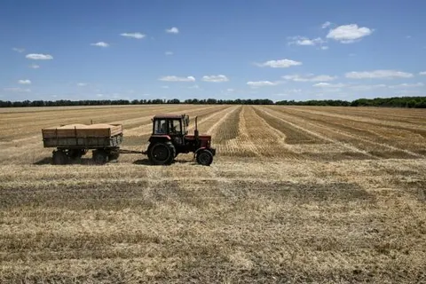 Жнива під обстрілами: як аграріям врятувати врожай і не збанкрутувати