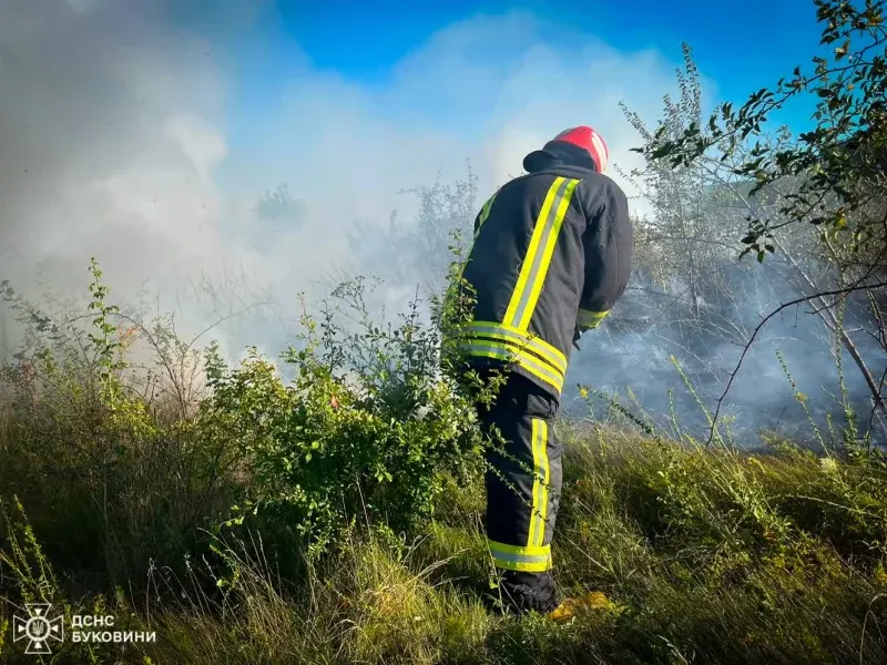 Як вогонь через суху траву ледь не знищив господарську будівлю