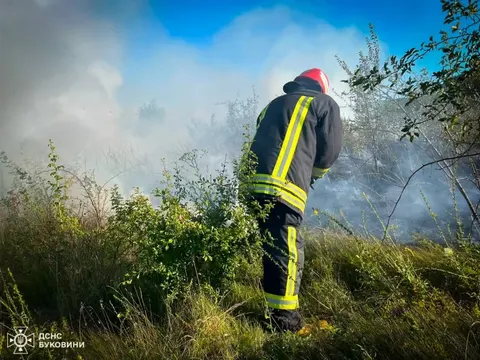 Як вогонь через суху траву ледь не знищив господарську будівлю