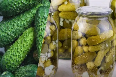 Огірки з медом і діжонською гірчицею: пікантна заготівля на зиму
