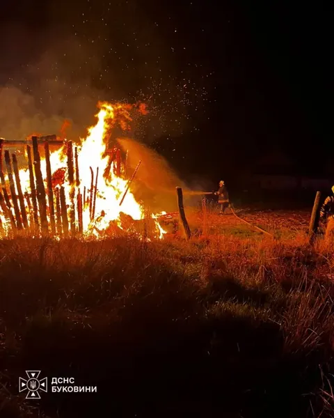 Пожежа на Буковині знищила господарську будівлю: що варто перевірити й сьогодні