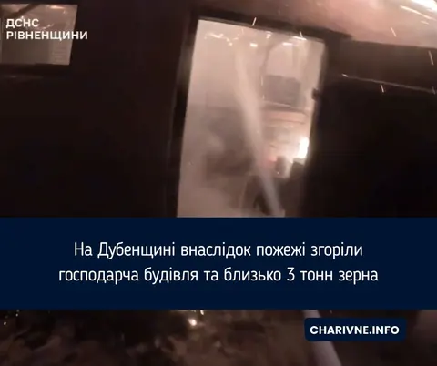 Пожежа на Дубенщині: згоріло зерно та господарча будівля