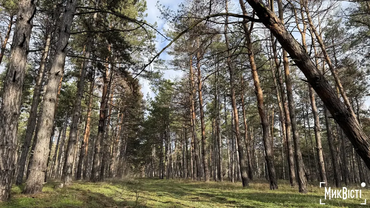 Чому мисливське господарство на Миколаївщині відмовилось від 7 тисяч гектарів