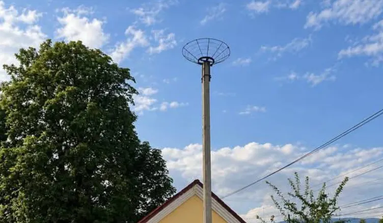 Укрзалізниця повернула лелекам дім біля станції Свалява