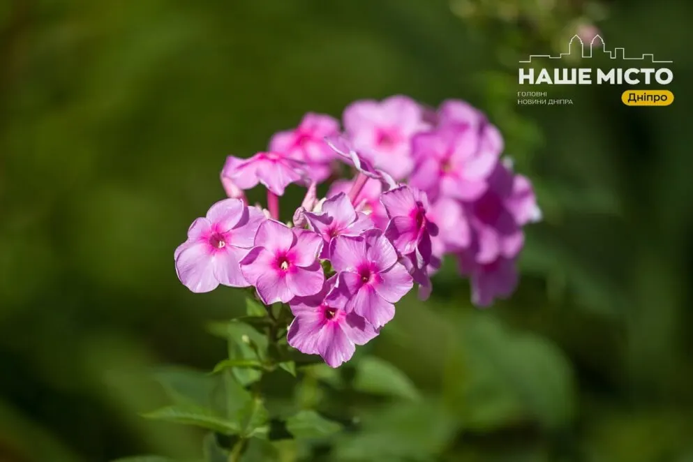 12 серпня: що варто знати про день Фотія та народні прикмети