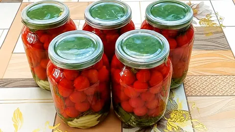 Квашені помідори чері на зиму: простий рецепт без оцту та стерилізації