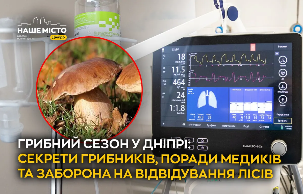Грибний сезон: як збирати безпечно та що робити при отруєнні