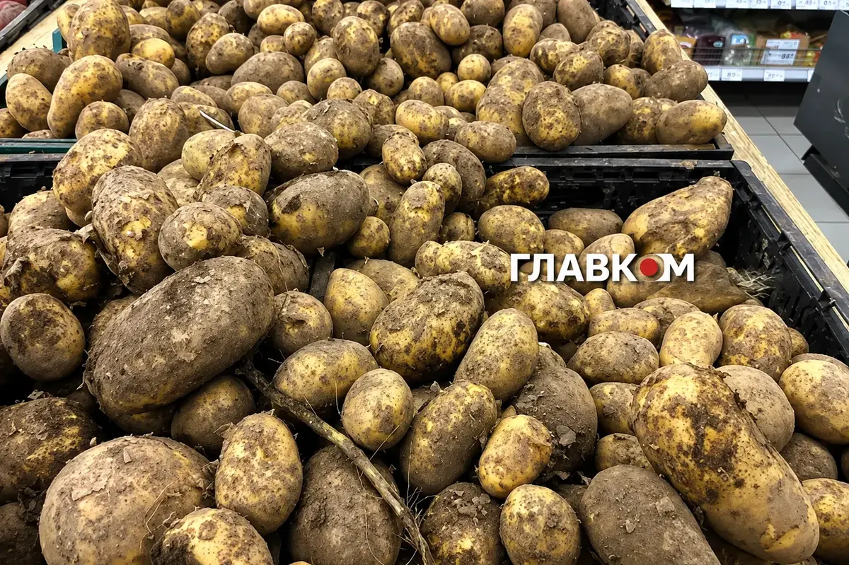 Коли купувати картоплю на зиму: порада експертки